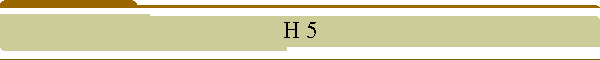 H 5